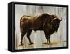 Bison-Sydney Edmunds-Framed Stretched Canvas