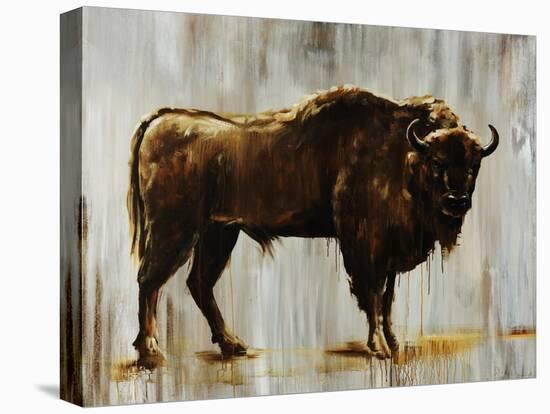 Bison-Sydney Edmunds-Stretched Canvas