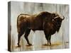 Bison-Sydney Edmunds-Stretched Canvas