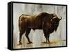 Bison-Sydney Edmunds-Framed Stretched Canvas