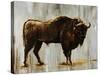 Bison-Sydney Edmunds-Stretched Canvas