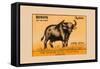 Bison-null-Framed Stretched Canvas