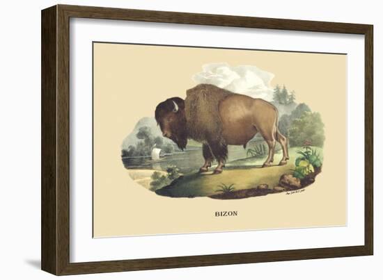 Bison-E.f. Noel-Framed Art Print