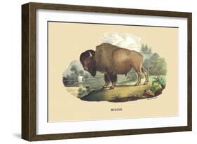 Bison-E.f. Noel-Framed Art Print