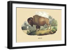 Bison-E.f. Noel-Framed Art Print