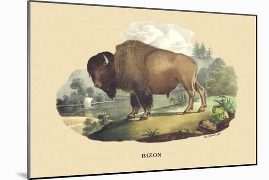 Bison-E.f. Noel-Mounted Art Print