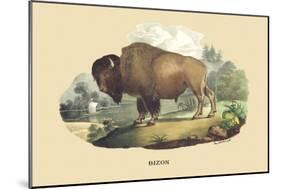 Bison-E.f. Noel-Mounted Art Print