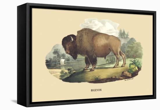 Bison-E.f. Noel-Framed Stretched Canvas