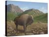 Bison-Robert Wavra-Stretched Canvas