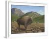 Bison-Robert Wavra-Framed Giclee Print