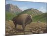 Bison-Robert Wavra-Mounted Giclee Print