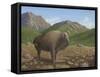 Bison-Robert Wavra-Framed Stretched Canvas