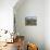 Bison-Robert Wavra-Stretched Canvas displayed on a wall