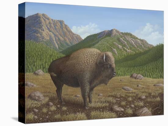 Bison-Robert Wavra-Stretched Canvas