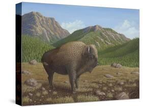 Bison-Robert Wavra-Stretched Canvas