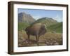 Bison-Robert Wavra-Framed Giclee Print