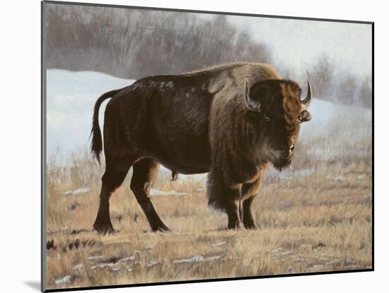 Bison-Rusty Frentner-Mounted Giclee Print