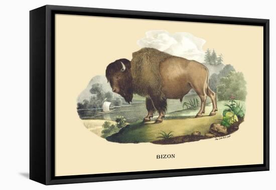 Bison-E.f. Noel-Framed Stretched Canvas