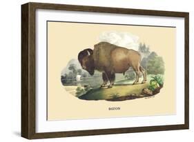 Bison-E.f. Noel-Framed Art Print