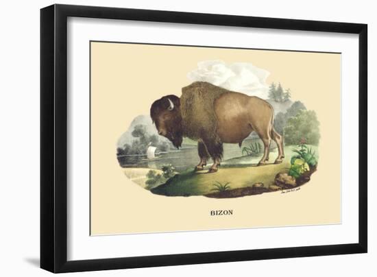 Bison-E.f. Noel-Framed Art Print