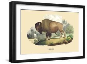 Bison-E.f. Noel-Framed Art Print