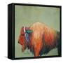 Bison-Karrie Evenson-Framed Stretched Canvas