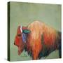 Bison-Karrie Evenson-Stretched Canvas