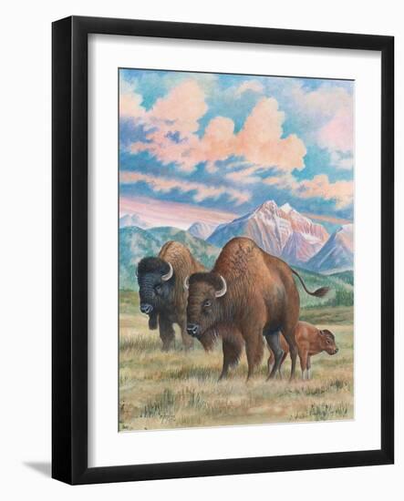 Bison-Ron Jenkins-Framed Art Print