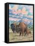 Bison-Ron Jenkins-Framed Stretched Canvas