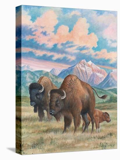 Bison-Ron Jenkins-Stretched Canvas