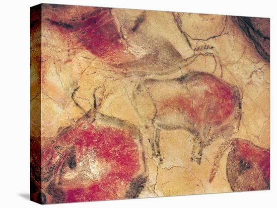 Bisons, from the Caves at Altamira, circa 15000 BC (Cave Painting)-null-Stretched Canvas