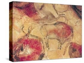 Bisons, from the Caves at Altamira, circa 15000 BC (Cave Painting)-null-Stretched Canvas