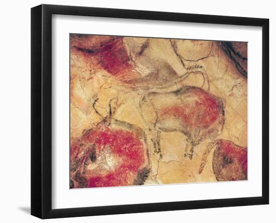 Bisons, from the Caves at Altamira, circa 15000 BC (Cave Painting)-null-Framed Giclee Print