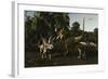Bistahieversor Attacking a Pair of Pentaceratops-null-Framed Art Print