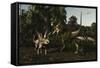 Bistahieversor Attacking a Pair of Pentaceratops-null-Framed Stretched Canvas