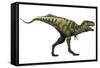 Bistahieversor Dinosaur-Stocktrek Images-Framed Stretched Canvas