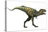 Bistahieversor Dinosaur-Stocktrek Images-Stretched Canvas