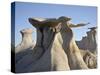 Bisti Wing, Bisti Wilderness, New Mexico, United States of America, North America-James Hager-Stretched Canvas