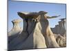 Bisti Wing, Bisti Wilderness, New Mexico, United States of America, North America-James Hager-Mounted Photographic Print