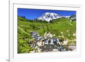 Bistort Wildflowers, Edith Creek, Mount Rainier, Paradise, Mount Rainier National Park, Washington -William Perry-Framed Photographic Print