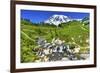 Bistort Wildflowers, Edith Creek, Mount Rainier, Paradise, Mount Rainier National Park, Washington -William Perry-Framed Photographic Print