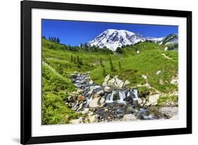 Bistort Wildflowers, Edith Creek, Mount Rainier, Paradise, Mount Rainier National Park, Washington -William Perry-Framed Photographic Print