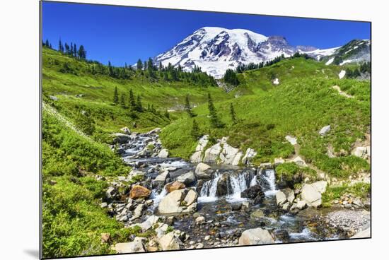 Bistort Wildflowers, Edith Creek, Mount Rainier, Paradise, Mount Rainier National Park, Washington -William Perry-Mounted Photographic Print