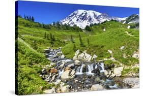 Bistort Wildflowers, Edith Creek, Mount Rainier, Paradise, Mount Rainier National Park, Washington -William Perry-Stretched Canvas