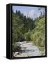 Bistrica River and Forest with Stenar Mountain Beyond in Summer, Triglav National Park, Mojstrana-Pearl Bucknall-Framed Stretched Canvas