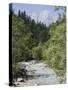 Bistrica River and Forest with Stenar Mountain Beyond in Summer, Triglav National Park, Mojstrana-Pearl Bucknall-Stretched Canvas