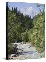 Bistrica River and Forest with Stenar Mountain Beyond in Summer, Triglav National Park, Mojstrana-Pearl Bucknall-Stretched Canvas