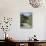 Bistrica River and Forest with Stenar Mountain Beyond in Summer, Triglav National Park, Mojstrana-Pearl Bucknall-Stretched Canvas displayed on a wall