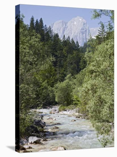 Bistrica River and Forest with Stenar Mountain Beyond in Summer, Triglav National Park, Mojstrana-Pearl Bucknall-Stretched Canvas