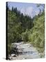 Bistrica River and Forest with Stenar Mountain Beyond in Summer, Triglav National Park, Mojstrana-Pearl Bucknall-Stretched Canvas